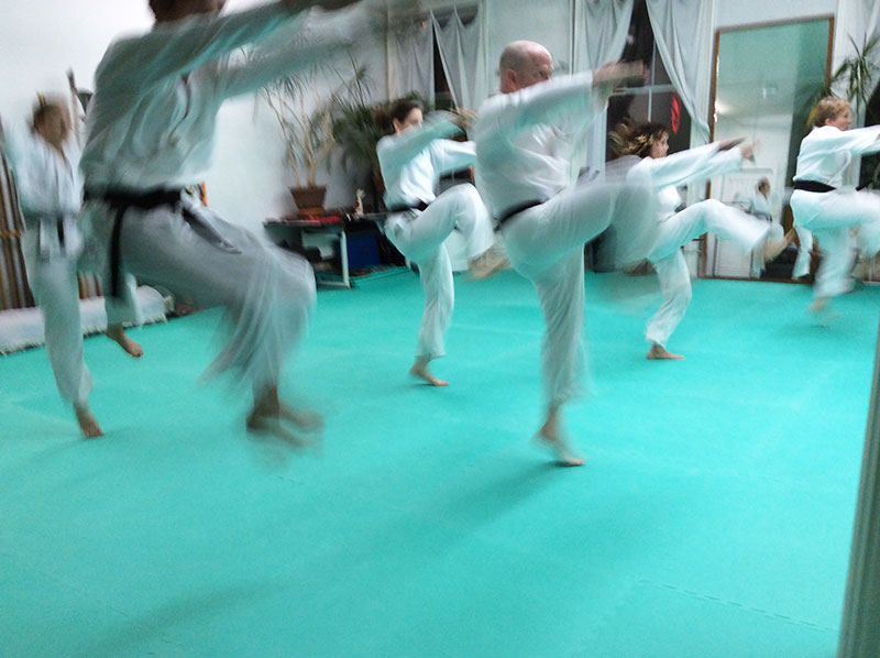 Jumping Kick in Kung Fu Forms