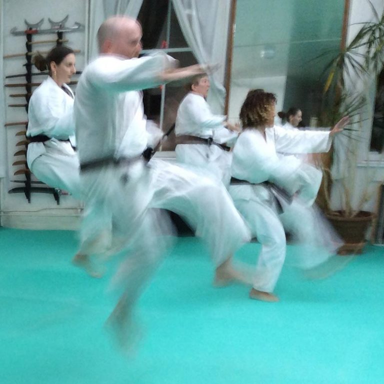 Kung Fu Class Jumping During Forms