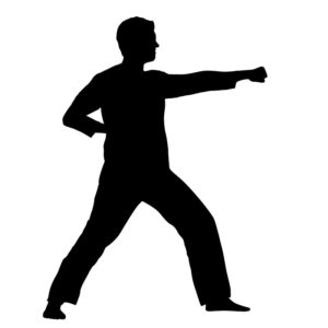 Kung Fu figure